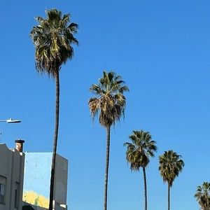 Meet your Posher, Yeah